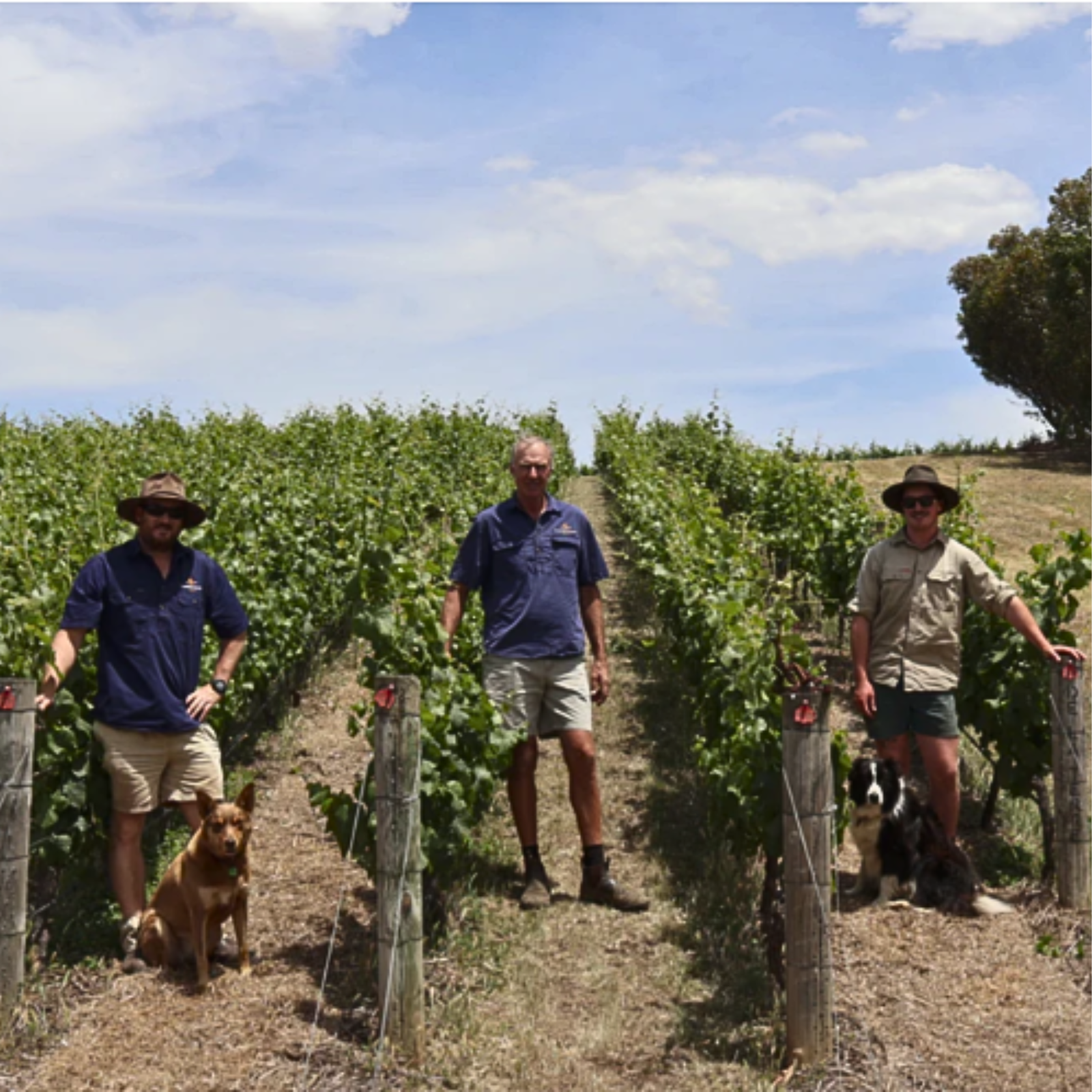 Bannockburn Chardonnay winemakers