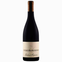DOMAINE FREDERIC LEPRINCE COTEAUX BOURAUINONS 2021 750ML