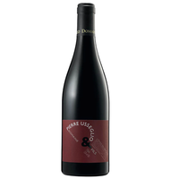 DOMAINE PIERRE USSEGLIO & FILS COTES DU RHONE 2022 750ML