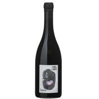 DOM GRANDES ESPERANCES SUPERNOVA MALBEC 2016 750ML