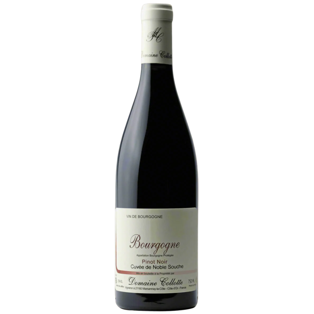 Domaine Collotte Bourgogne Cuvee De Noble Souche 2024 750ml