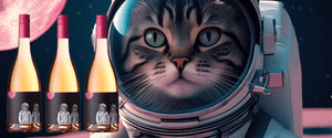 felicette wines image
