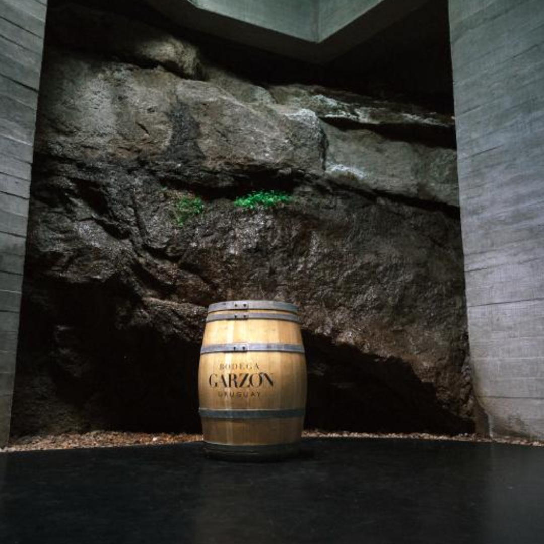 Garzon Reserva Albarino wine barrel