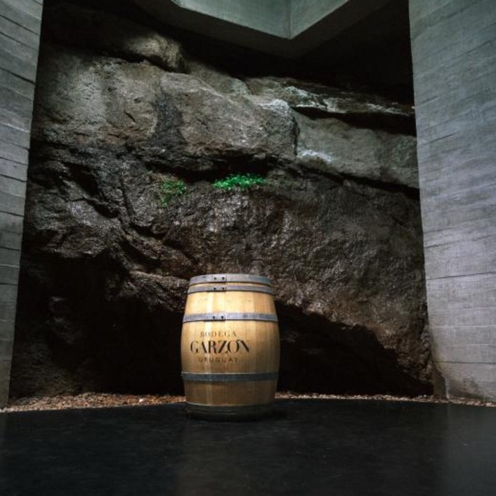 Garzon Reserva Albarino wine barrel