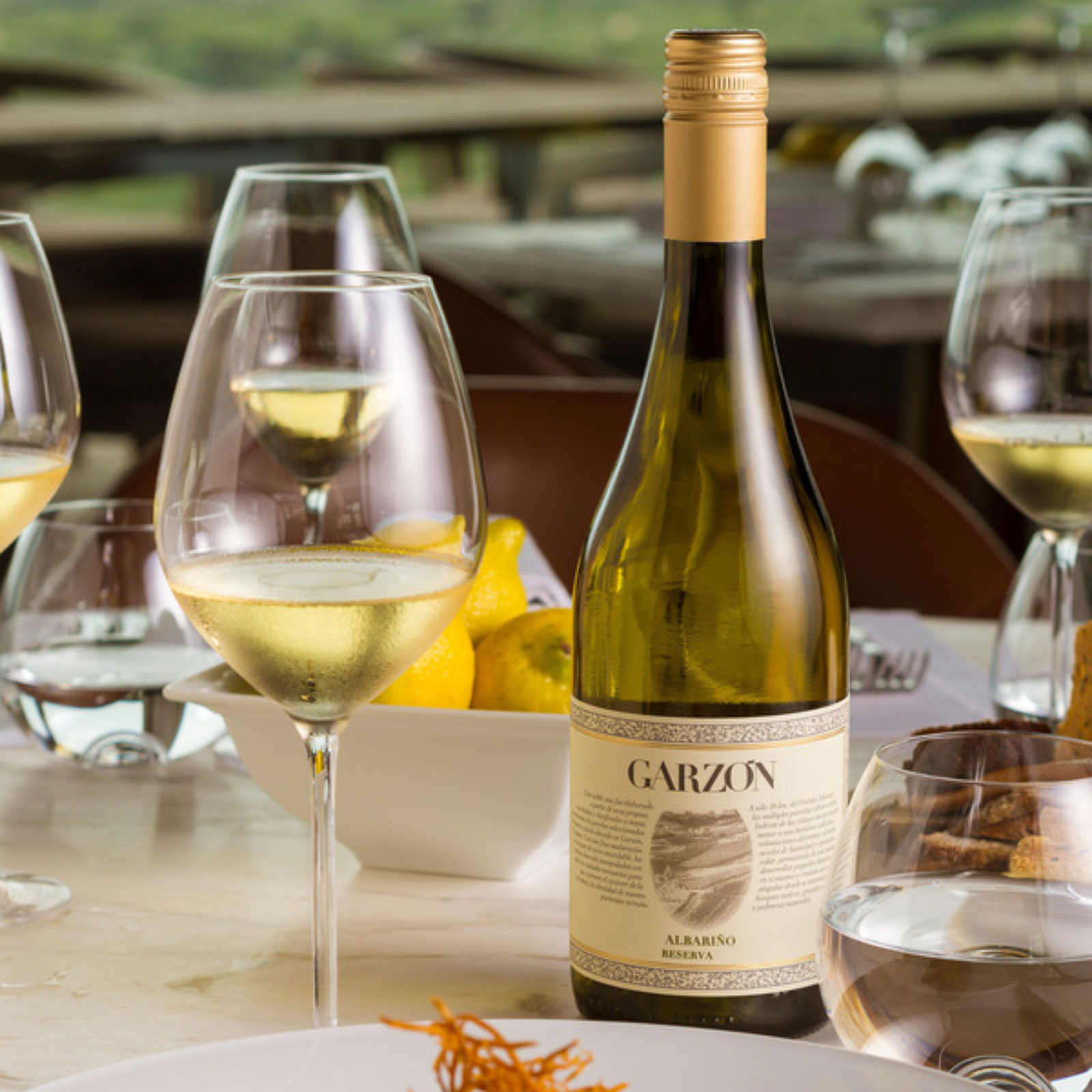 Garzon Reserva Albarino with wine glasses