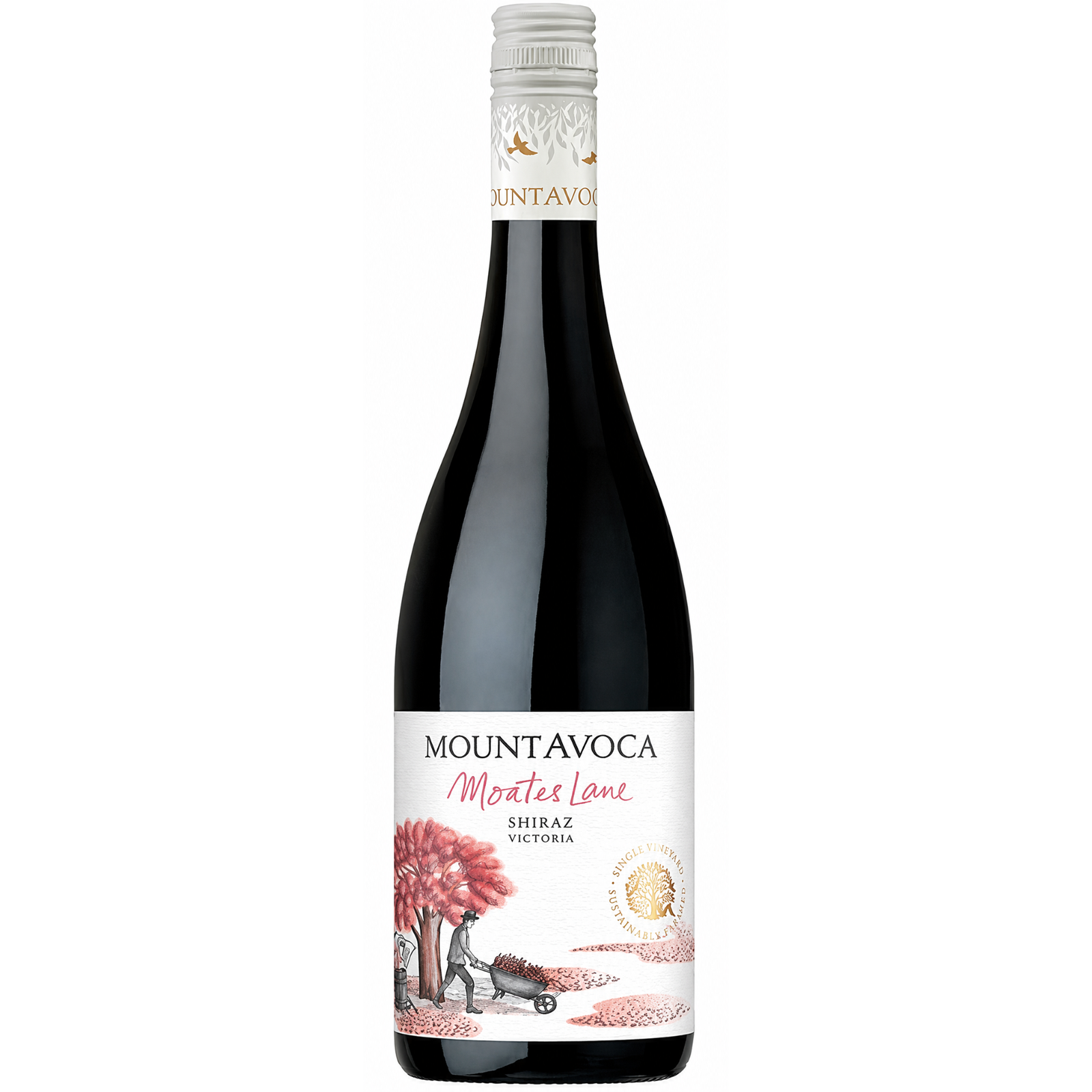 Mount Avoca Moates Lane Shiraz 2024 750ml