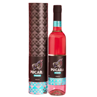 Pucara Pisco Italia 500ml
