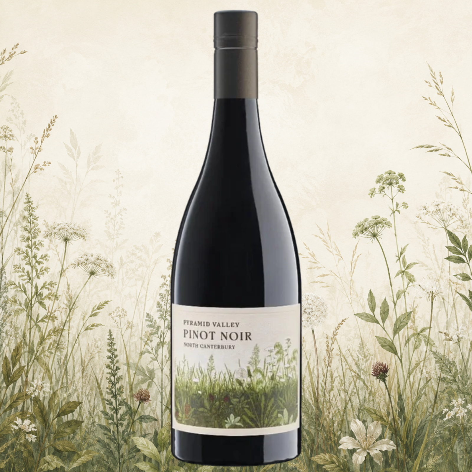Pyramid Valley North Canterbury Pinot Noir 2023 750ml