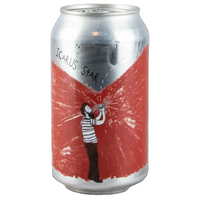 SAILORS GRAVE ICARUS STAR RED IPA CAN 355ML