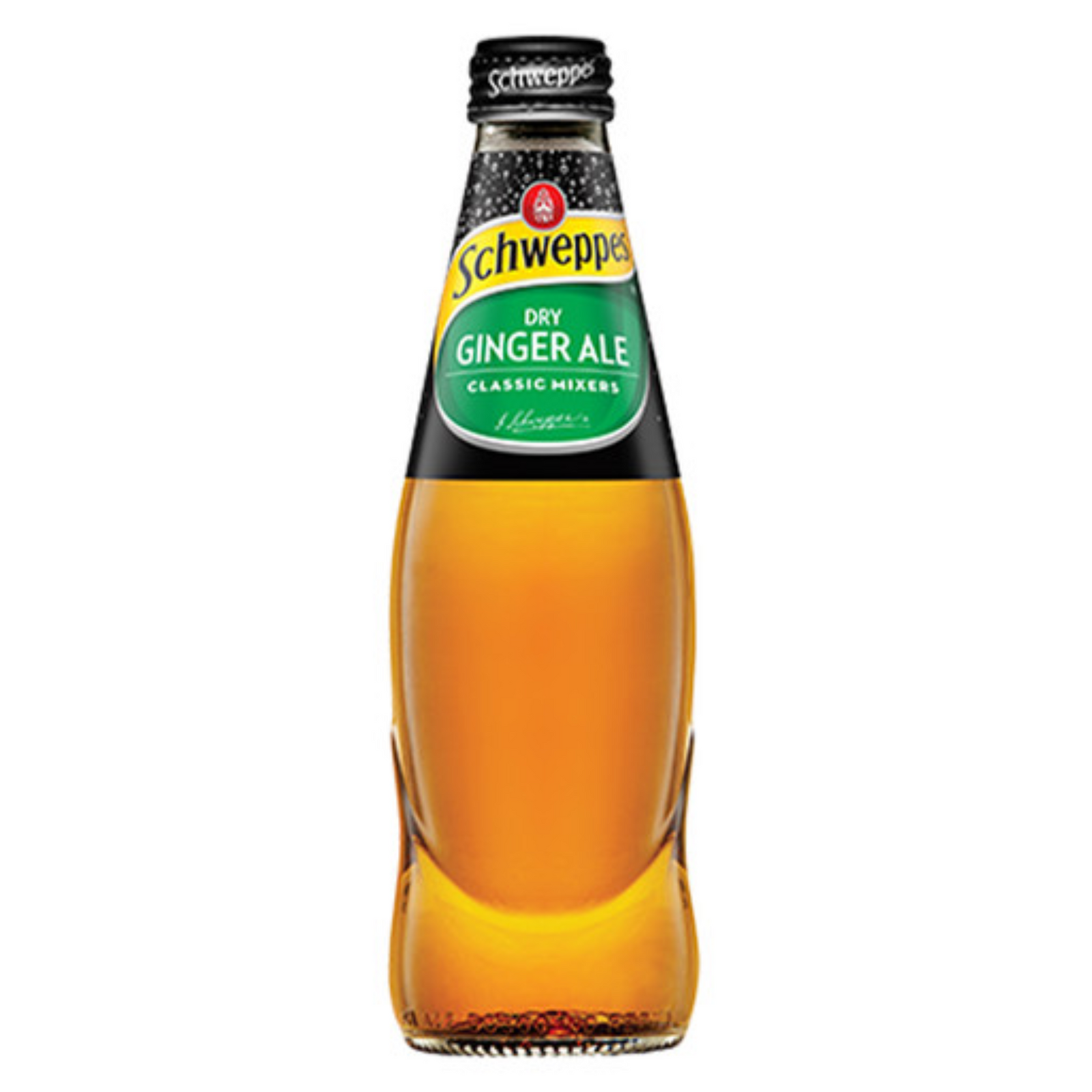 SCHWEPPES DRY GINGER BOTTLE 300ML