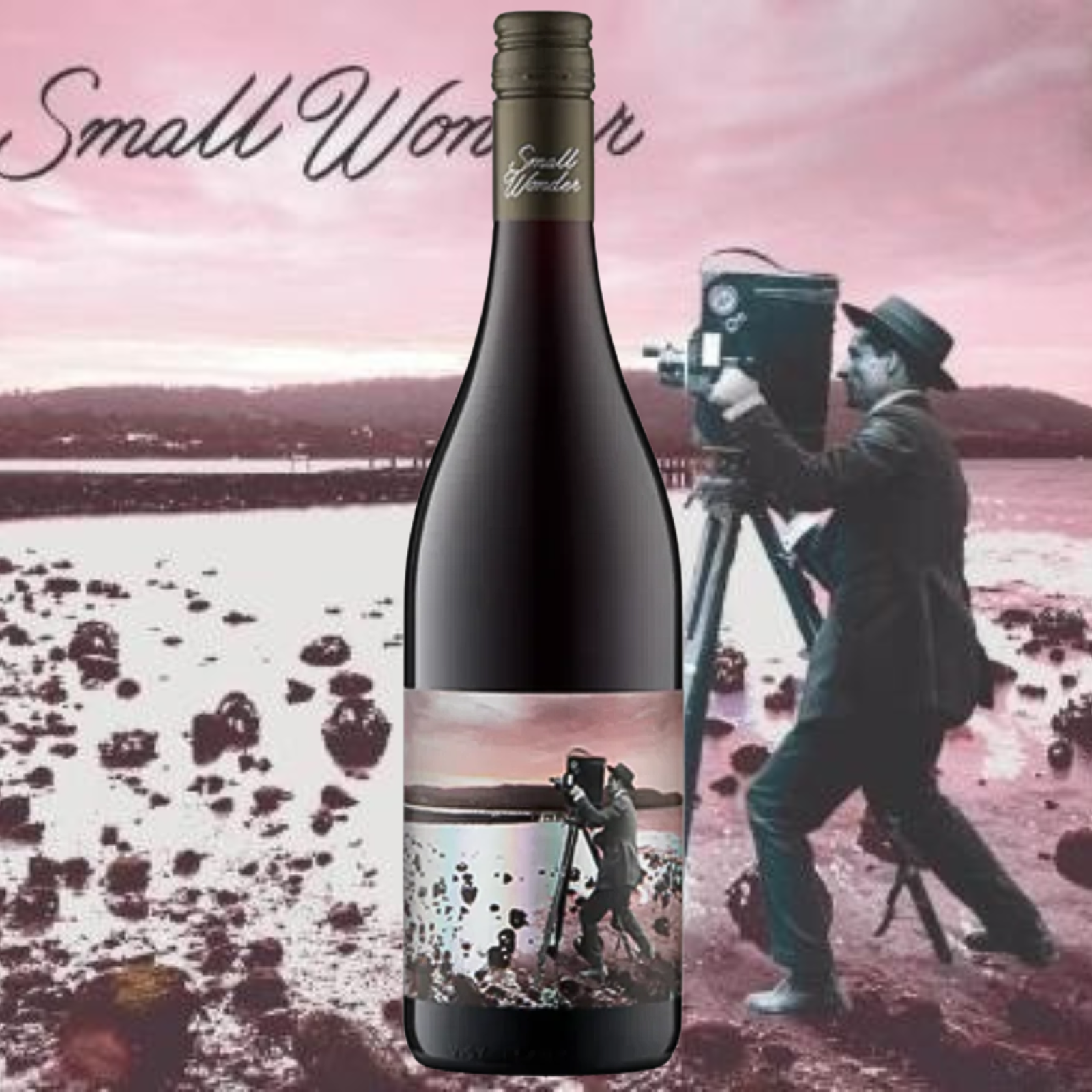 Small_Wonder_Landscape_Pinot_Noir_2024_bottle