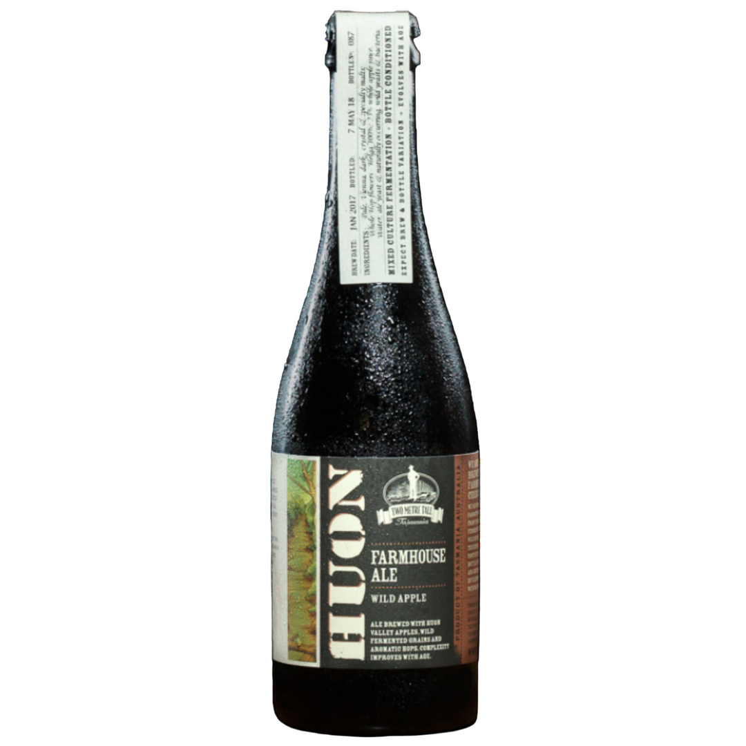 TWO METRE TALL WILD FARMHOUSE DARK APPLE ALE BOTTLE 375ML