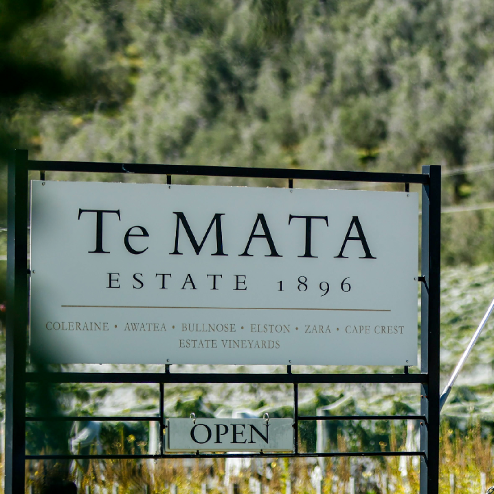 Te Mata Estate wines sign