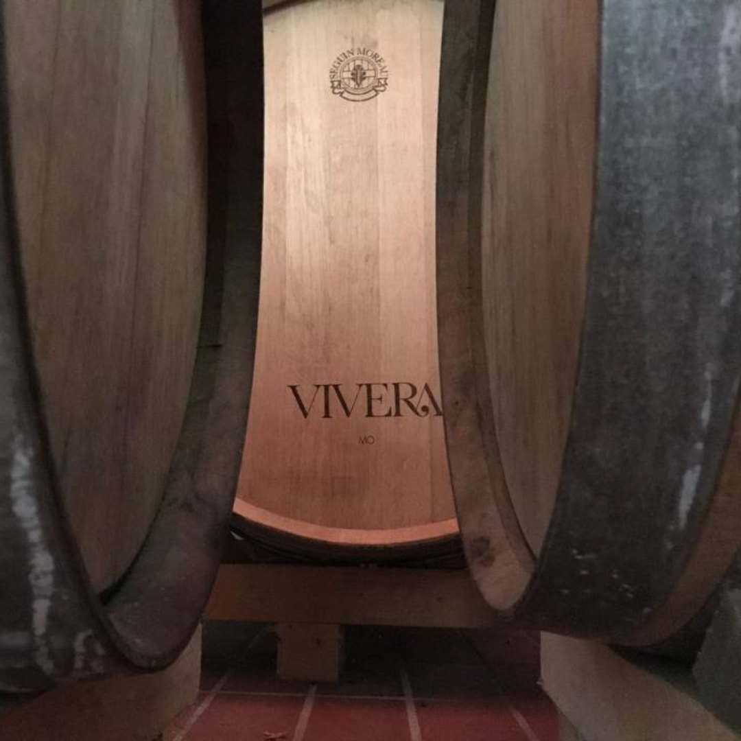 Vivera Wine Barrels at vineyard